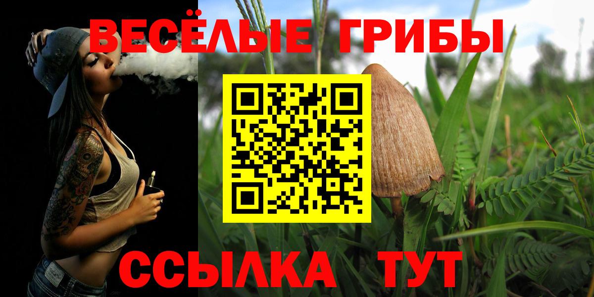 Гусев  Галлюциногенные грибы Cubensis  Вход с VPN 